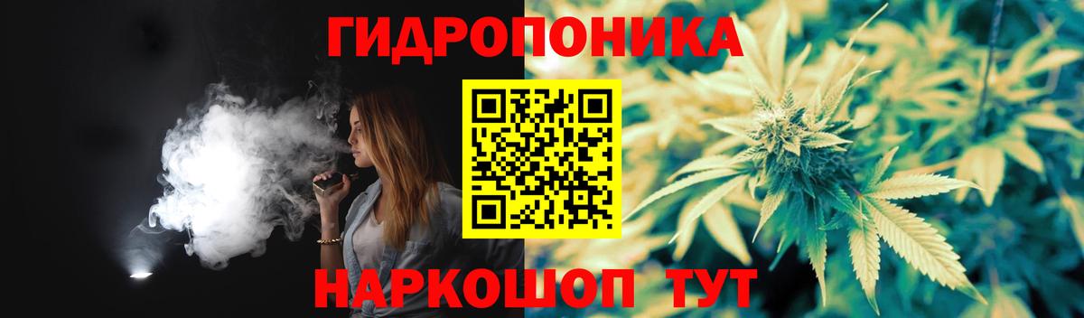 Канабис OG Kush Ноябрьск
